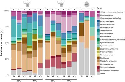 Salinity-Conveyed Thermotolerance in the Coral Model Aiptasia Is Accompanied by Distinct Changes of the Bacterial Microbiome